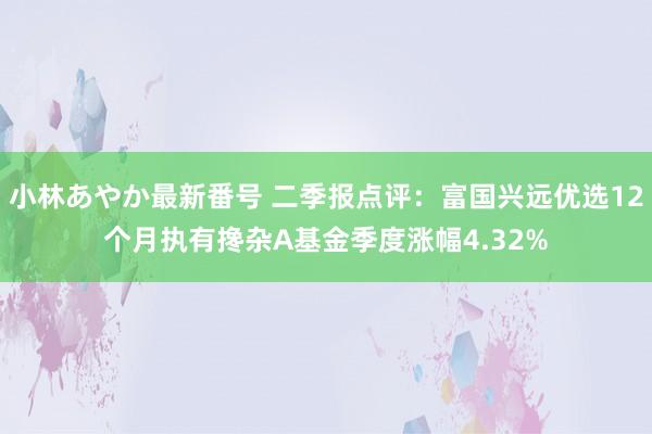 小林あやか最新番号 二季报点评：富国兴远优选12个月执有搀杂A基金季度涨幅4.32%