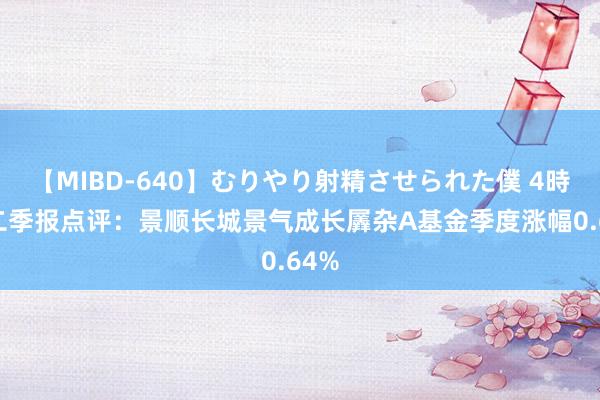 【MIBD-640】むりやり射精させられた僕 4時間 二季报点评：景顺长城景气成长羼杂A基金季度涨幅0.64%