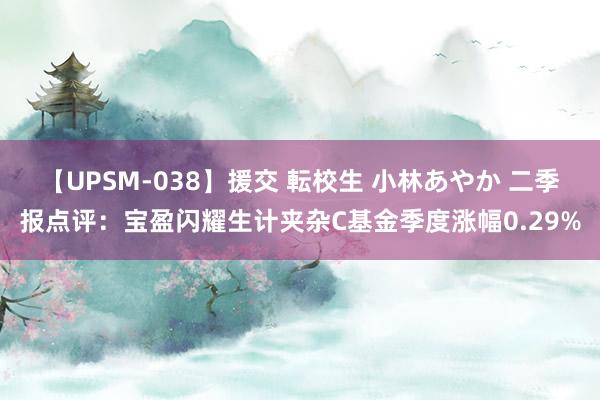 【UPSM-038】援交 転校生 小林あやか 二季报点评：宝盈闪耀生计夹杂C基金季度涨幅0.29%