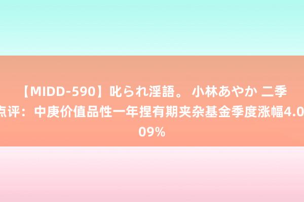 【MIDD-590】叱られ淫語。 小林あやか 二季报点评：中庚价值品性一年捏有期夹杂基金季度涨幅4.09%