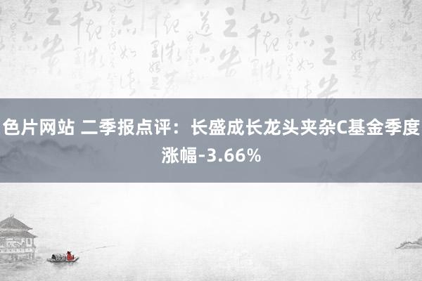 色片网站 二季报点评：长盛成长龙头夹杂C基金季度涨幅-3.66%