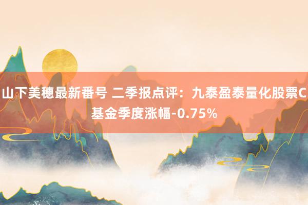 山下美穂最新番号 二季报点评：九泰盈泰量化股票C基金季度涨幅-0.75%