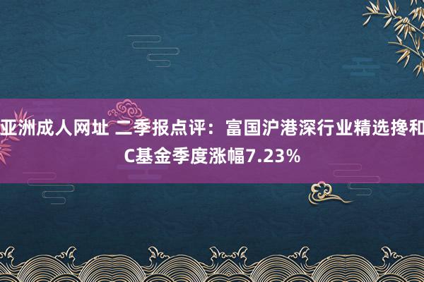 亚洲成人网址 二季报点评：富国沪港深行业精选搀和C基金季度涨幅7.23%