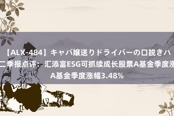 【ALX-484】キャバ嬢送りドライバーの口説きハメ撮り 2 二季报点评：汇添富ESG可抓续成长股票A基金季度涨幅3.48%