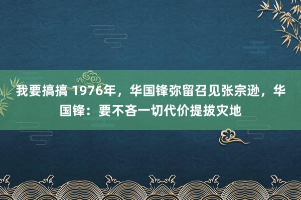 我要搞搞 1976年，华国锋弥留召见张宗逊，华国锋：要不吝一切代价提拔灾地