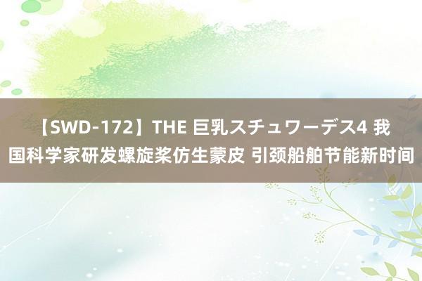 【SWD-172】THE 巨乳スチュワーデス4 我国科学家研发螺旋桨仿生蒙皮 引颈船舶节能新时间