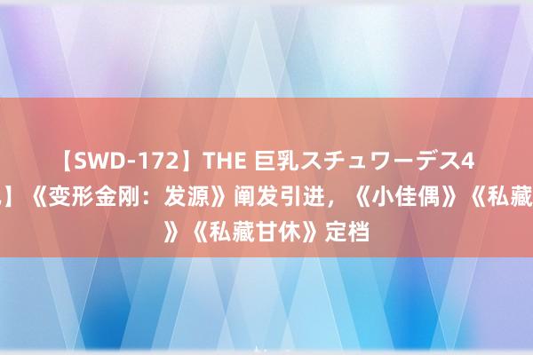 【SWD-172】THE 巨乳スチュワーデス4 【娱乐快讯】《变形金刚：发源》阐发引进，《小佳偶》《私藏甘休》定档