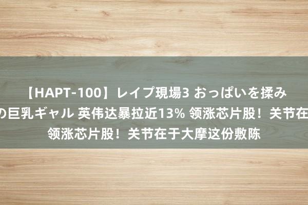 【HAPT-100】レイプ現場3 おっぱいを揉みしだかれた6人の巨乳ギャル 英伟达暴拉近13% 领涨芯片股！关节在于大摩这份敷陈