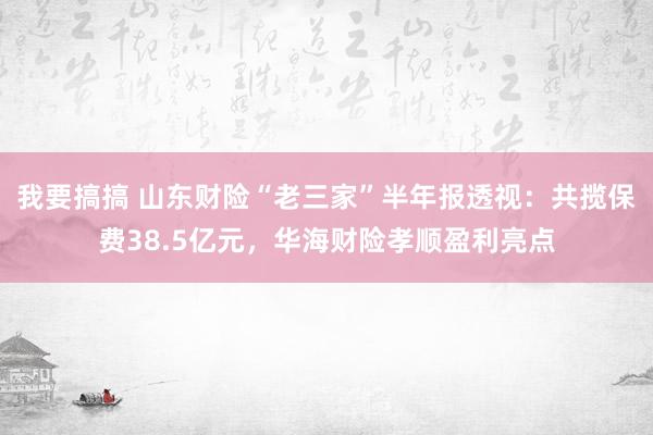 我要搞搞 山东财险“老三家”半年报透视：共揽保费38.5亿元，华海财险孝顺盈利亮点