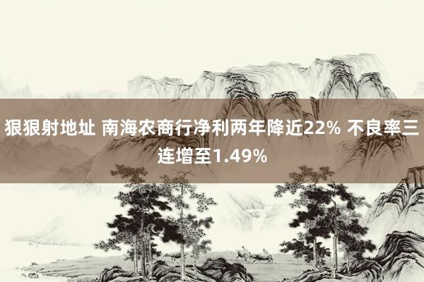 狠狠射地址 南海农商行净利两年降近22% 不良率三连增至1.49%