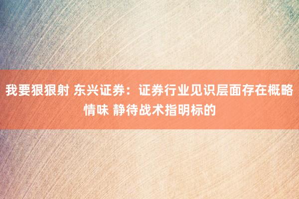 我要狠狠射 东兴证券：证券行业见识层面存在概略情味 静待战术指明标的