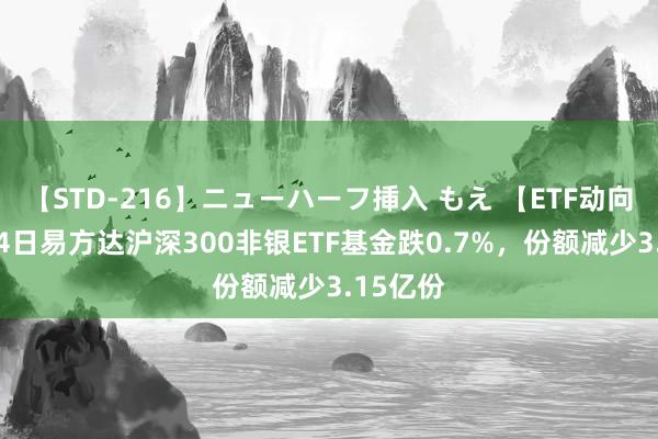 【STD-216】ニューハーフ挿入 もえ 【ETF动向】8月14日易方达沪深300非银ETF基金跌0.7%，份额减少3.15亿份