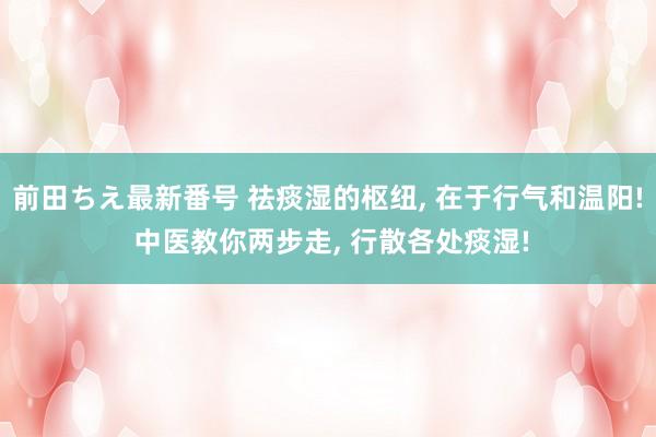 前田ちえ最新番号 祛痰湿的枢纽， 在于行气和温阳! 中医教你两步走， 行散各处痰湿!