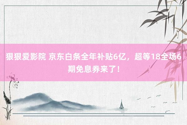 狠狠爱影院 京东白条全年补贴6亿，超等18全场6期免息券来了！