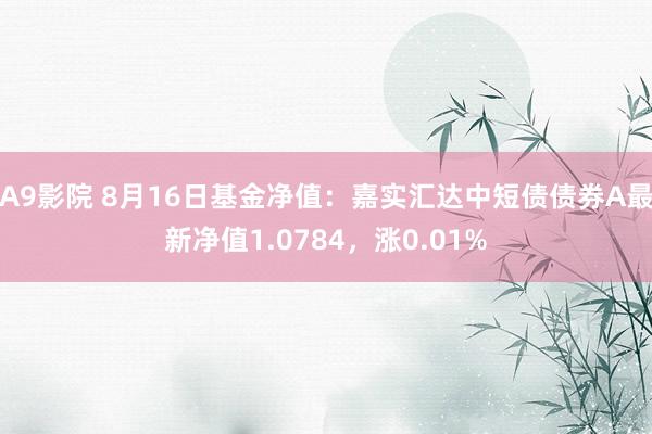 A9影院 8月16日基金净值：嘉实汇达中短债债券A最新净值1.0784，涨0.01%