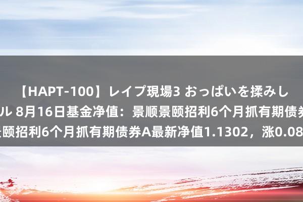 【HAPT-100】レイプ現場3 おっぱいを揉みしだかれた6人の巨乳ギャル 8月16日基金净值：景顺景颐招利6个月抓有期债券A最新净值1.1302，涨0.08%