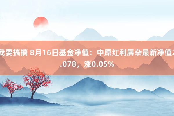 我要搞搞 8月16日基金净值：中原红利羼杂最新净值2.078，涨0.05%