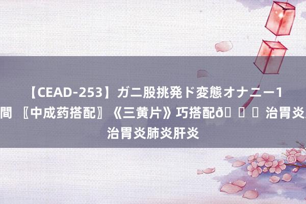 【CEAD-253】ガニ股挑発ド変態オナニー100人8時間 〖中成药搭配〗《三黄片》巧搭配?治胃炎肺炎肝炎