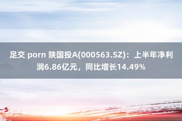 足交 porn 陕国投A(000563.SZ)：上半年净利润6.86亿元，同比增长14.49%