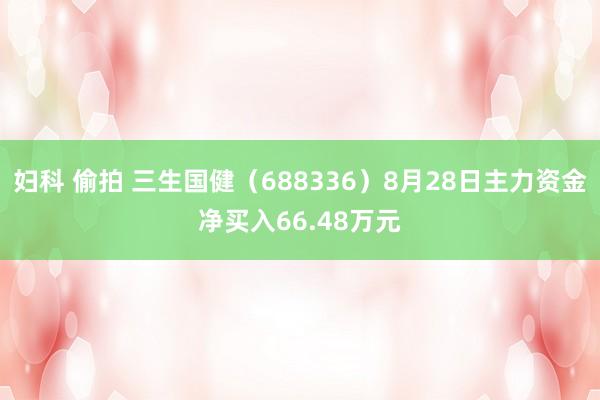 妇科 偷拍 三生国健（688336）8月28日主力资金净买入66.48万元