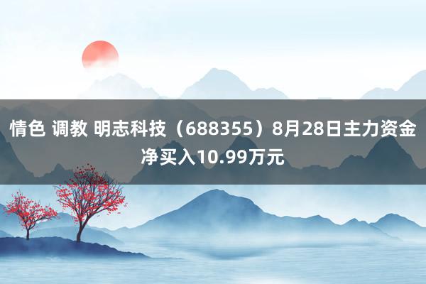 情色 调教 明志科技（688355）8月28日主力资金净买入10.99万元