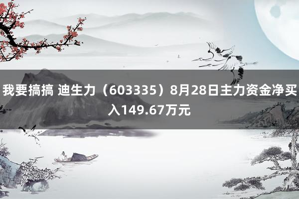 我要搞搞 迪生力（603335）8月28日主力资金净买入149.67万元