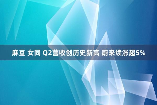 麻豆 女同 Q2营收创历史新高 蔚来续涨超5%