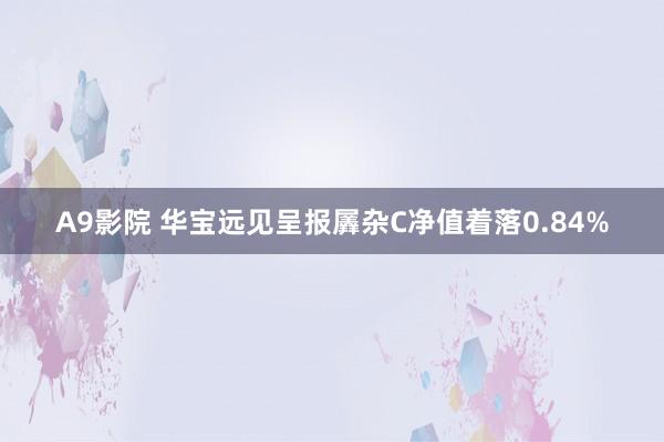 A9影院 华宝远见呈报羼杂C净值着落0.84%