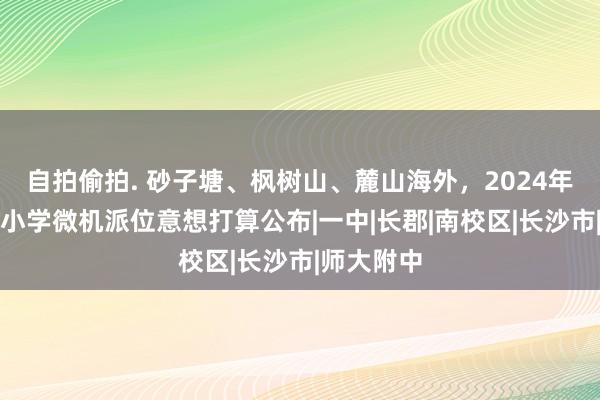 自拍偷拍. 砂子塘、枫树山、麓山海外，2024年长沙要点小学微机派位意想打算公布|一中|长郡|南校区|长沙市|师大附中