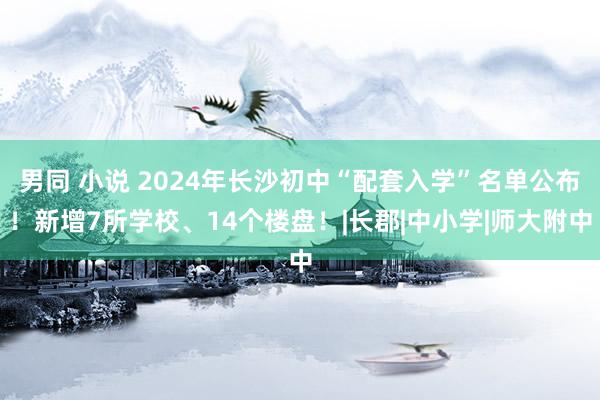 男同 小说 2024年长沙初中“配套入学”名单公布！新增7所学校、14个楼盘！|长郡|中小学|师大附中