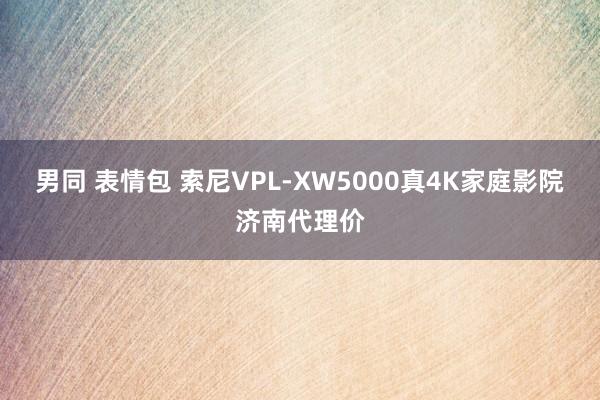 男同 表情包 索尼VPL-XW5000真4K家庭影院济南代理价