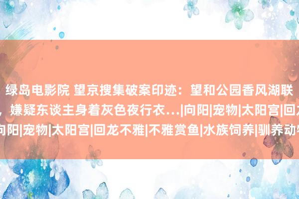 绿岛电影院 望京搜集破案印迹：望和公园香风湖联接发生锦鲤失贼事件，嫌疑东谈主身着灰色夜行衣…|向阳|宠物|太阳宫|回龙不雅|不雅赏鱼|水族饲养|驯养动物