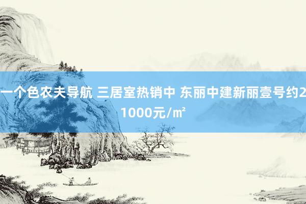 一个色农夫导航 三居室热销中 东丽中建新丽壹号约21000元/㎡