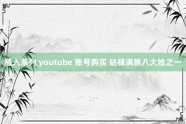 插入系列 youtube 账号购买 钴禄满族八大姓之一