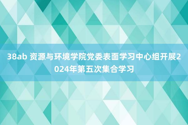 38ab 资源与环境学院党委表面学习中心组开展2024年第五次集合学习