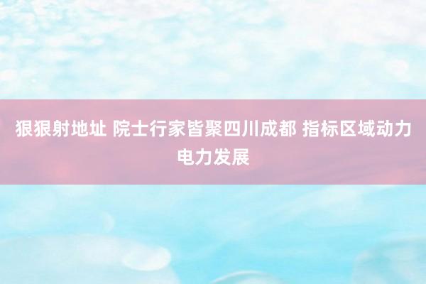 狠狠射地址 院士行家皆聚四川成都 指标区域动力电力发展